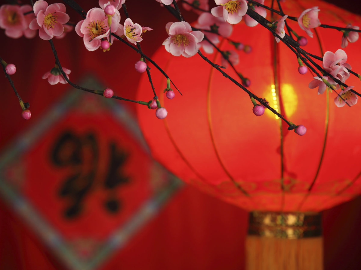los expatriados disfrutan del año nuevo chino en xiamen